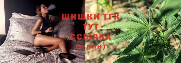 spice Тавда