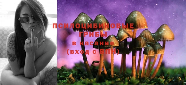 синтетический гашиш Сясьстрой