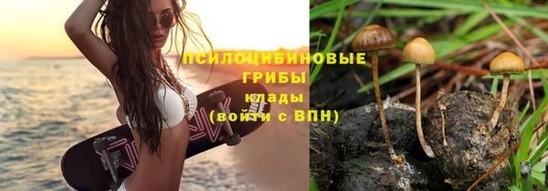 метадон Нязепетровск