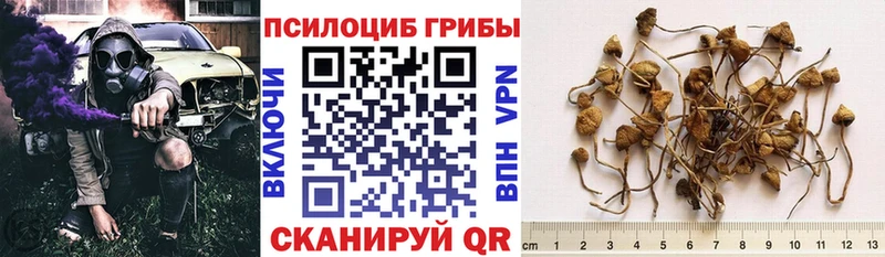 Галлюциногенные грибы GOLDEN TEACHER  Аркадак 