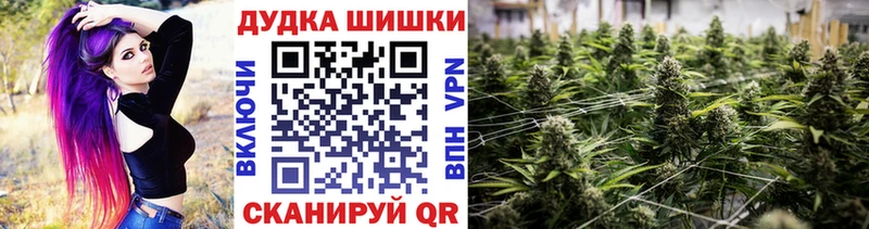 купить наркотики цена  Аркадак  Бошки Шишки AK-47 